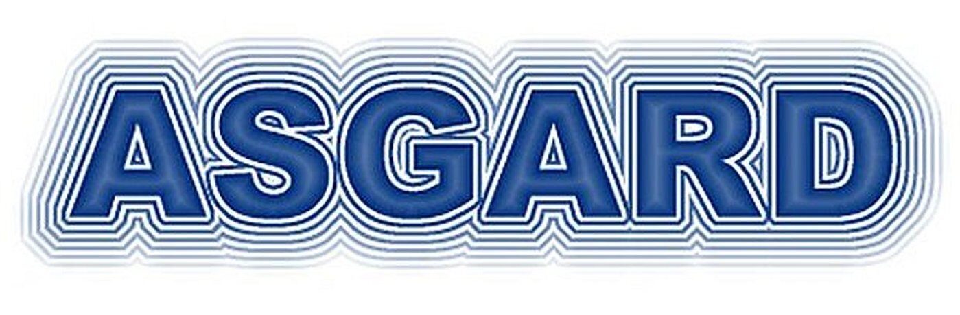 ASGARD KRAKOW PL – Pozycjonowanie